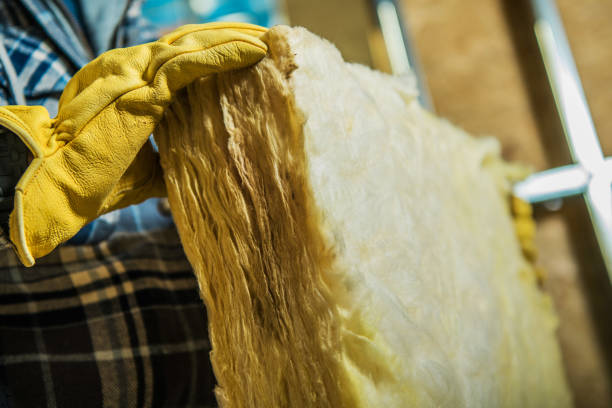 Best Insulation Maintenance and Repair in Ranger, TX