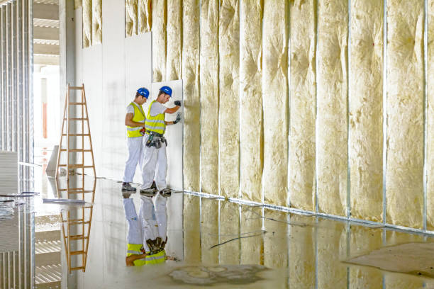 Best Spray Foam Insulation in Ranger, TX